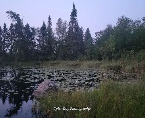 Section 29 Lake Campground
