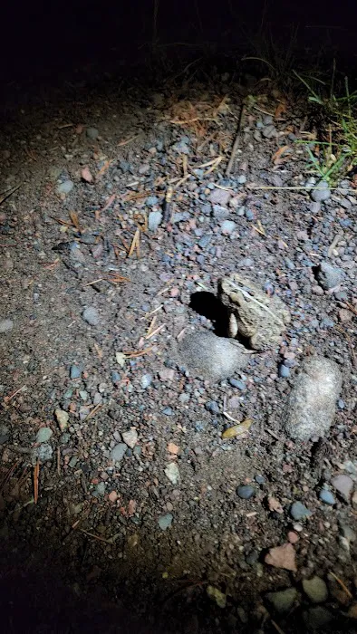 Section 29 Lake Campground Picture 9