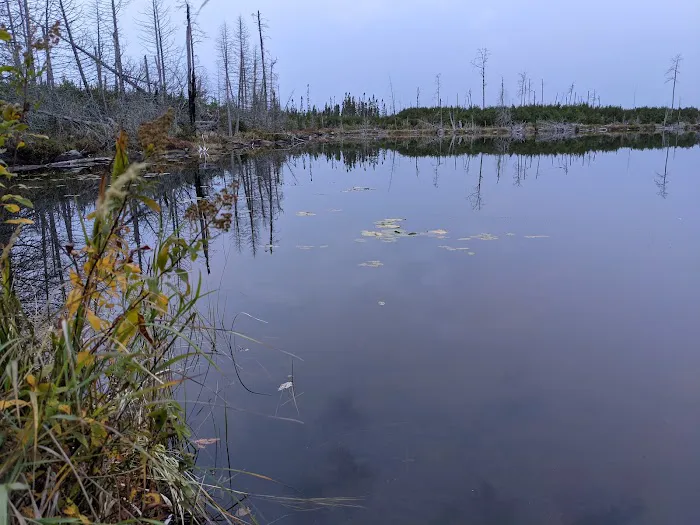 Isabella River Campsite - Powwow Trail Picture 3