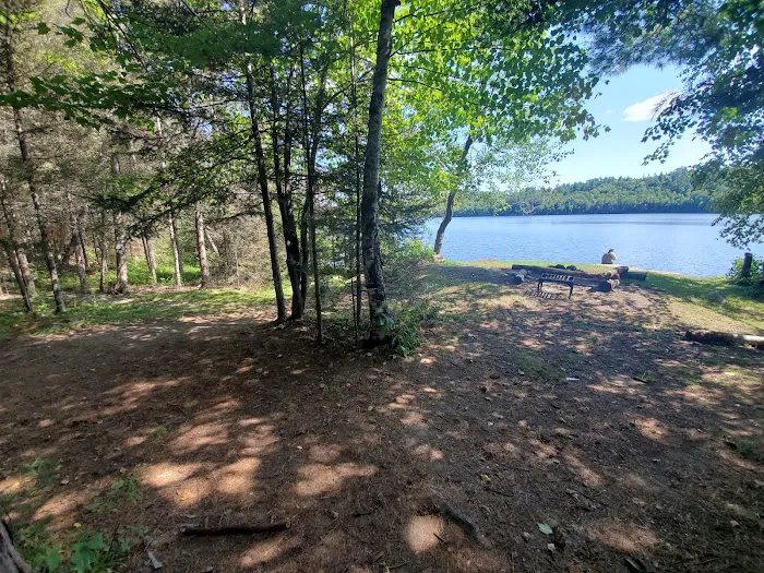 Upper Bass Lake Campsite Picture 2