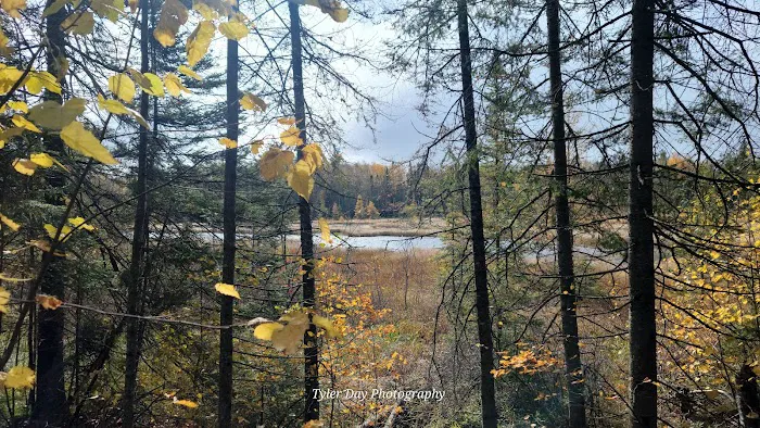 Hogback Lake Rustic Campground & Backcountry Sites Picture 2