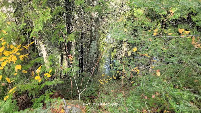 Hogback Lake Rustic Campground & Backcountry Sites Picture 8