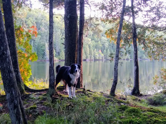 Hogback Lake Rustic Campground & Backcountry Sites Picture 3