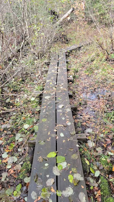 Hogback Lake Rustic Campground & Backcountry Sites Picture 4