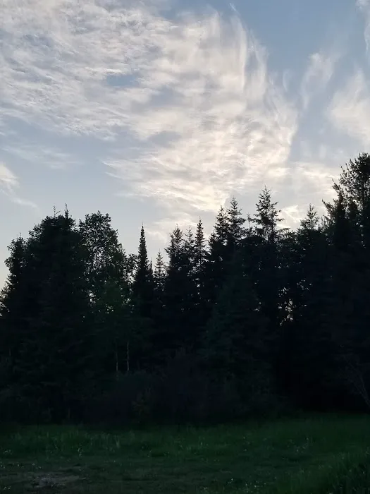 Harriet Lake Rustic Campground Picture 8