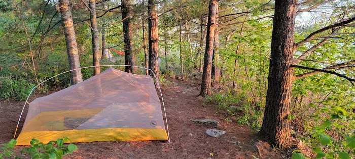 BWCA Campsite #1991 Picture 6