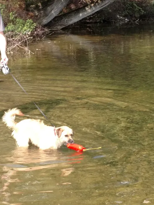 Ojibway and Triangle Lakes (recgovnpsdata) Picture 5