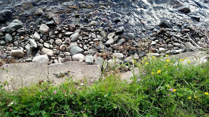 Ojibway and Triangle Lakes (recgovnpsdata) Picture 7