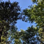 Ninemile Lake Campground