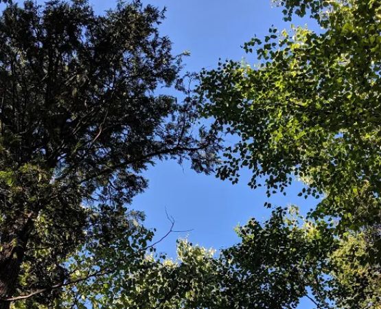 Ninemile Lake Campground