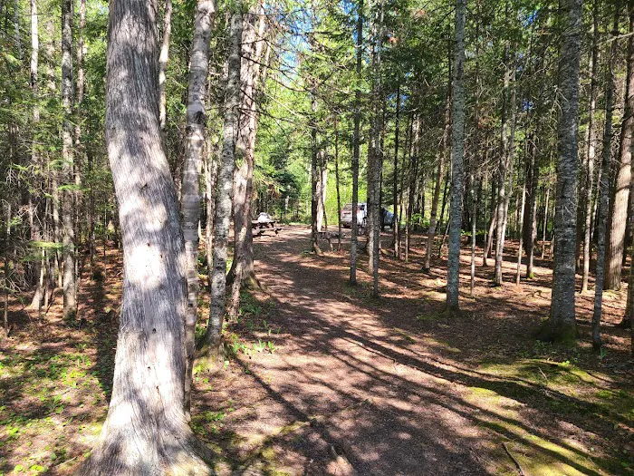 Ninemile Lake Campground Picture 7