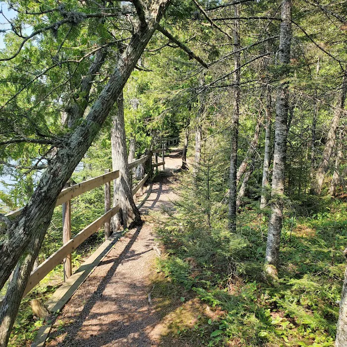 Ninemile Lake Campground Picture 8