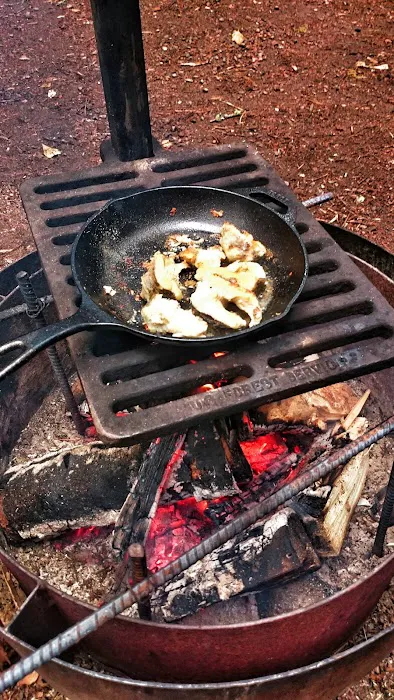 Ninemile Lake Campground Picture 5