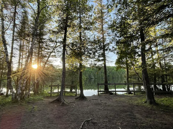 Ninemile Lake Campground Picture 3