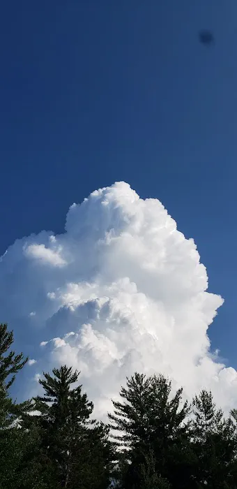 Wilson Lake Rustic Campground Picture 3