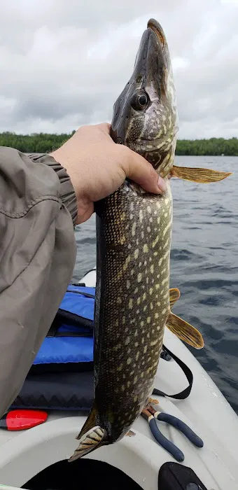 Wilson Lake Rustic Campground Picture 10