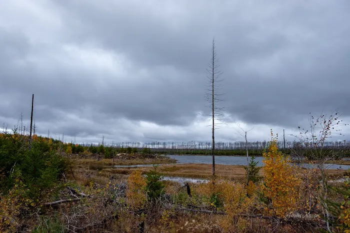 Marathon Lake Campsite - Powwow Trail Picture 1