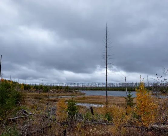 Marathon Lake Campsite - Powwow Trail