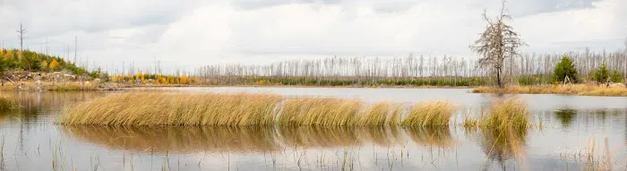 Marathon Lake Campsite - Powwow Trail Picture 3