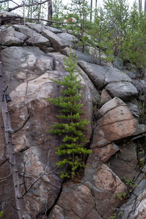 South Wilder Lake Campsite - Powwow Trail Picture 7