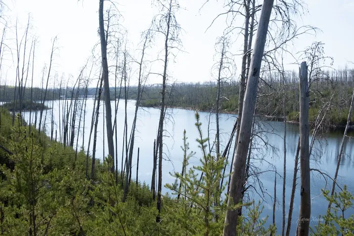 South Wilder Lake Campsite - Powwow Trail Picture 1