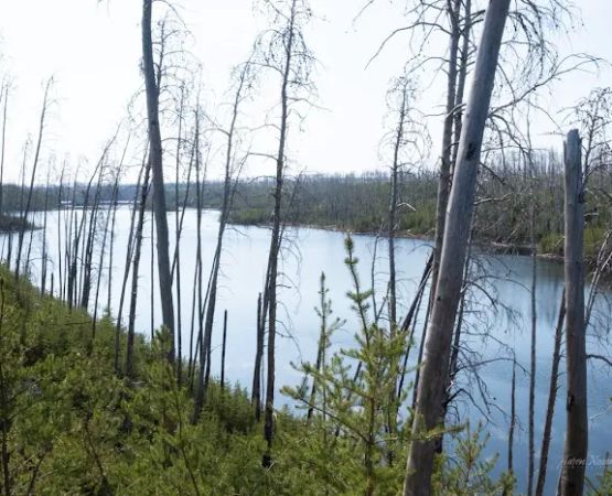 South Wilder Lake Campsite - Powwow Trail