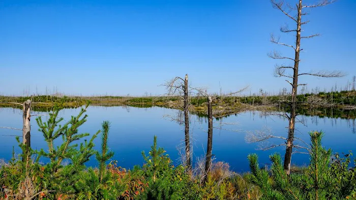 Pose Lake Campsite - Powwow Trail Picture 3