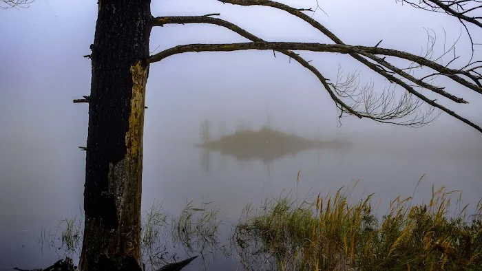 Pose Lake Campsite - Powwow Trail Picture 2