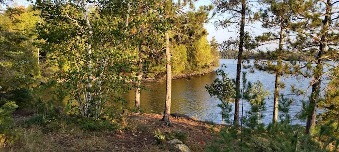 Hinsdale Island Campsite 11 Picture 4