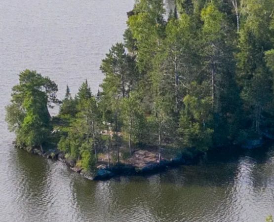 Hinsdale Island Campsite 11