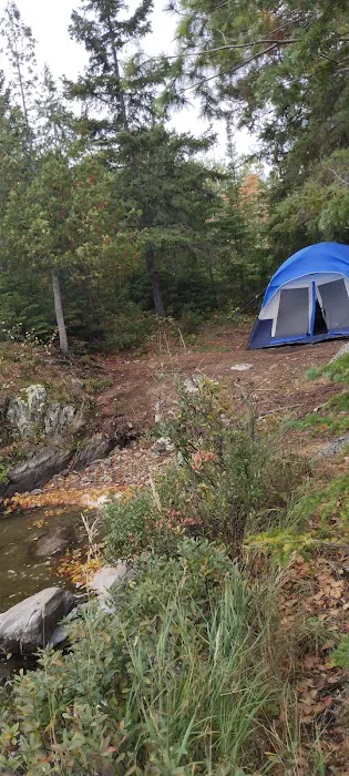 Hinsdale Island Campsite 11 Picture 6