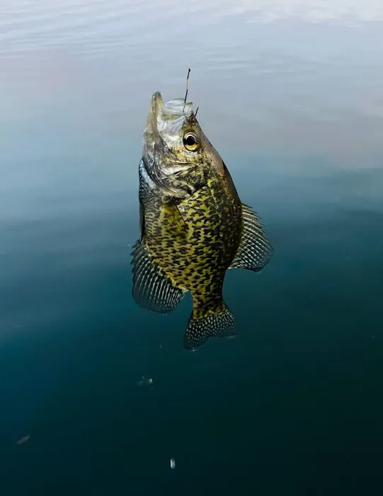 Hinsdale Island Campground Picture 1