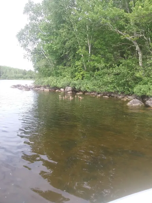 Wakemup Bay Campground Picture 8