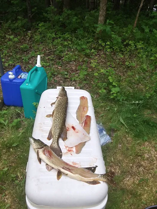 Wakemup Bay Campground Picture 4