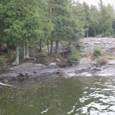 Bystrom Bay Campsite USFS Picture 2