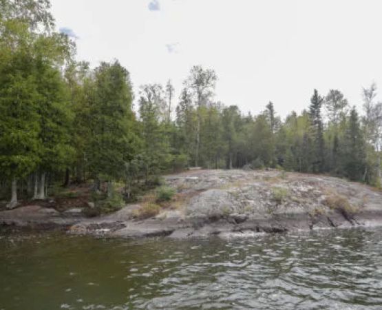 Bystrom Bay Campsite USFS