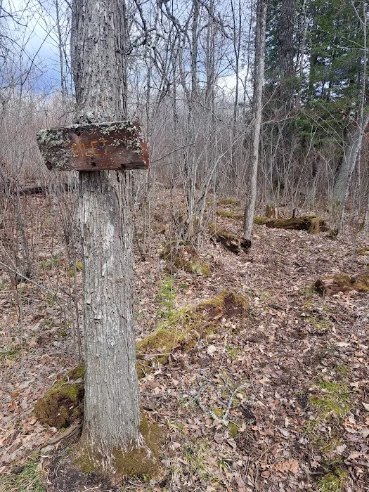Little Minnow Watercraft Campsite Picture 1