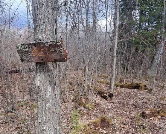 Little Minnow Watercraft Campsite