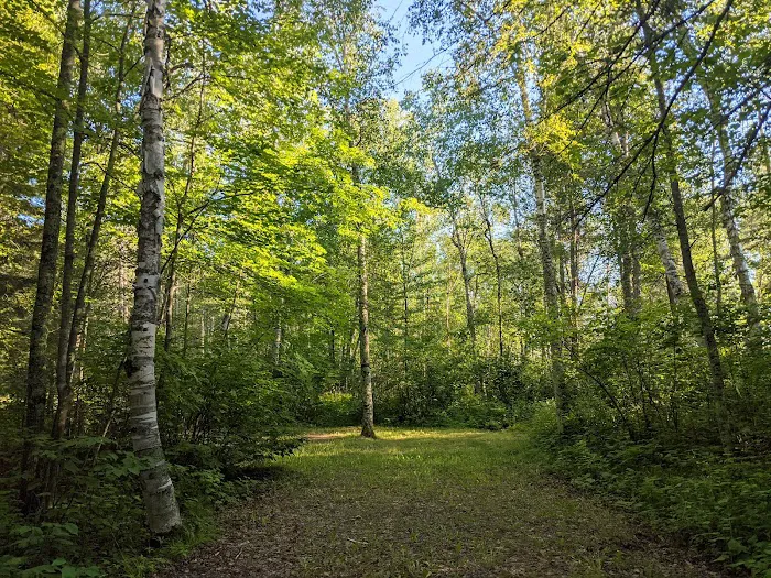 Noma Lake Campground Picture 5