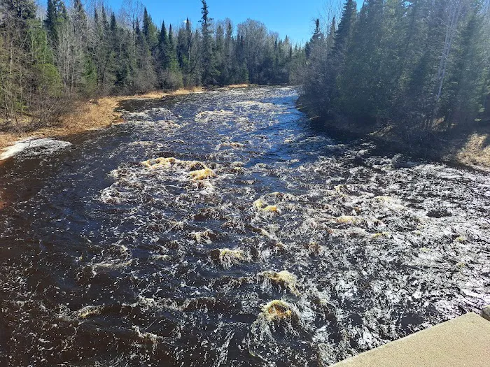 Forestry Department Picture 1