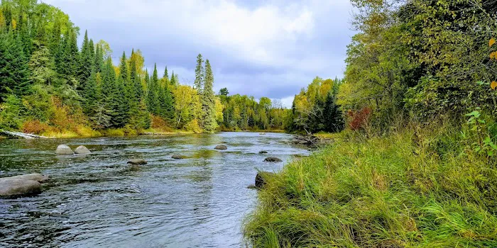 Forestry Department Picture 2