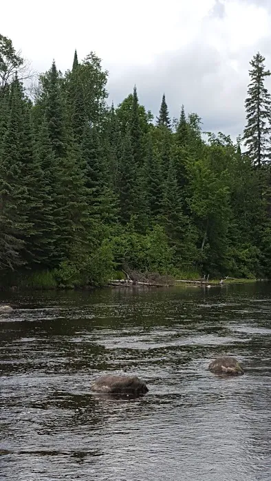 Forestry Department Picture 3