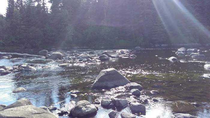 Forestry Department Picture 10