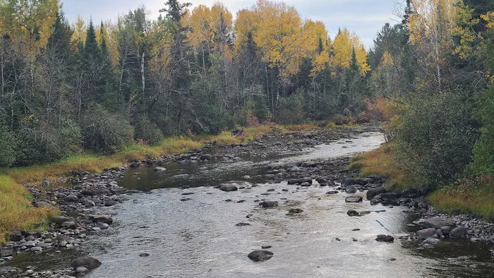 Forestry Department Picture 4