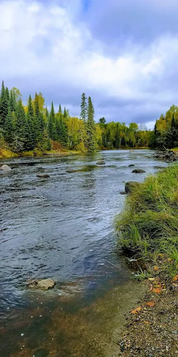 Forestry Department Picture 9