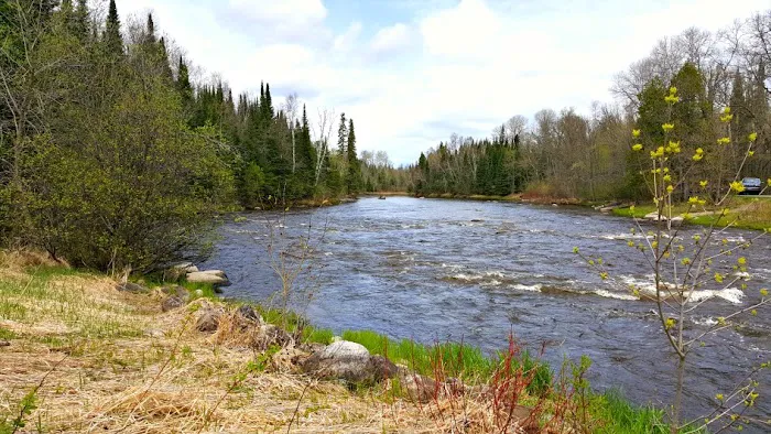 Forestry Department Picture 8