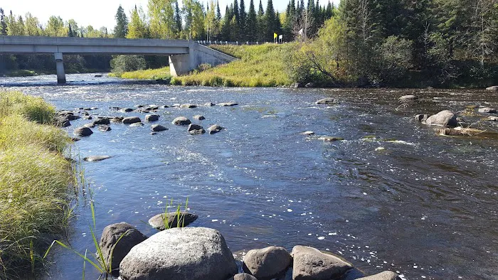 Forestry Department Picture 7