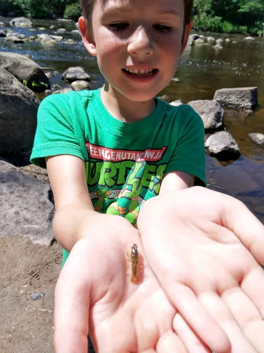 Forestry Department Picture 6