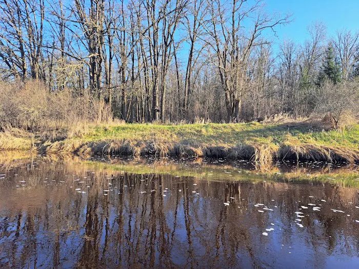 Busticogan Watercraft Campsite Picture 1
