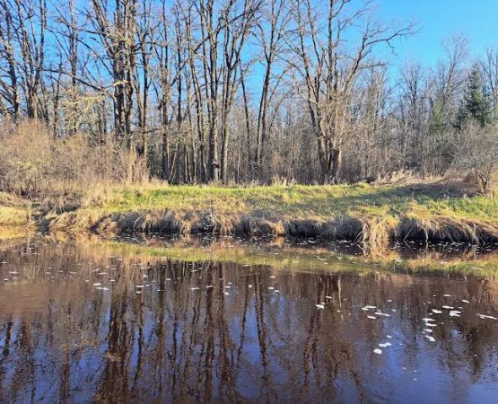 Busticogan Watercraft Campsite